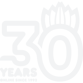 30 years of Partizan.NET